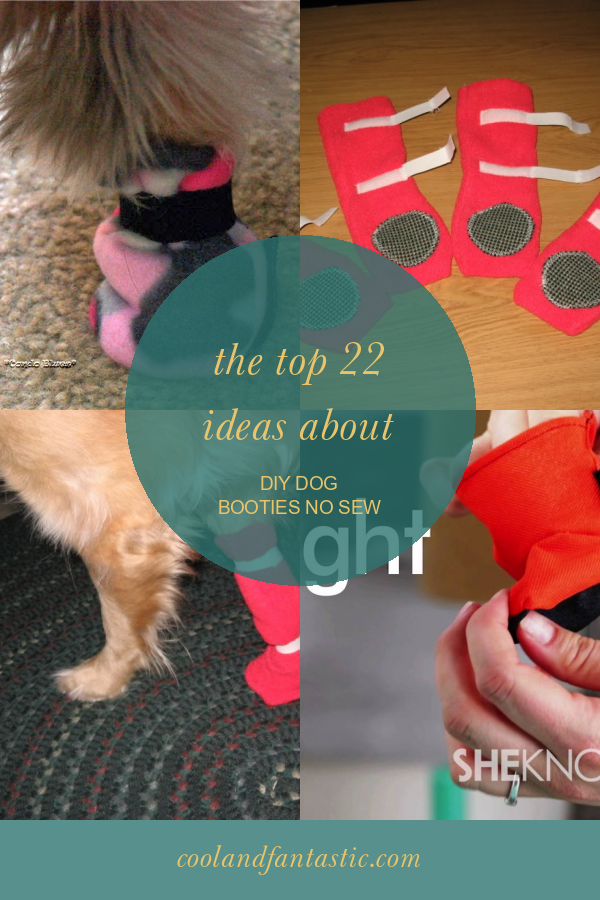 The top 22 Ideas About Diy Dog Booties No Sew Home, Family, Style and